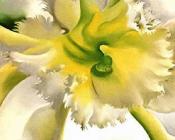 乔治亚 奥基夫 : Yellow Orchid